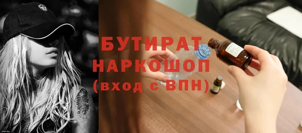 индика Володарск
