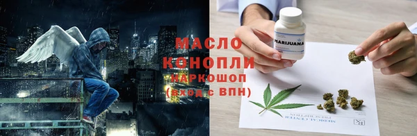 индика Володарск