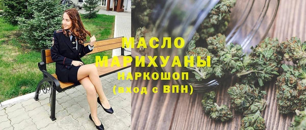 индика Володарск