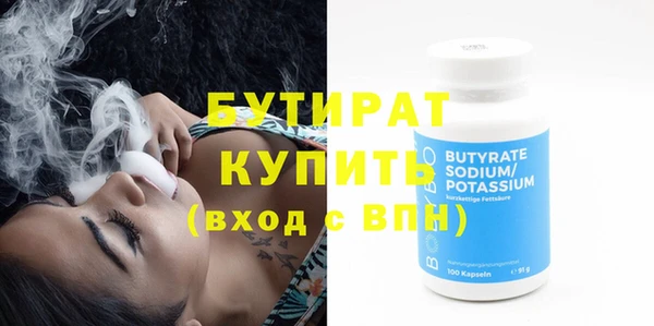 индика Володарск
