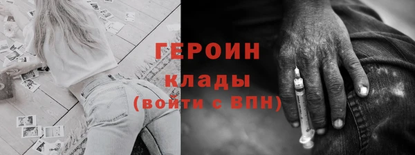 индика Володарск