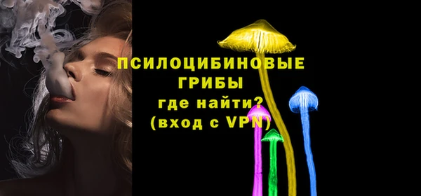 индика Володарск