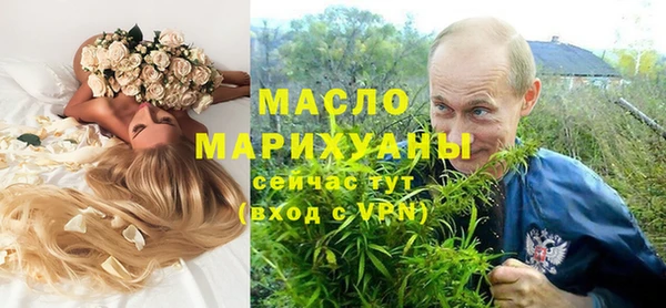 индика Володарск