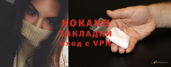 индика Володарск