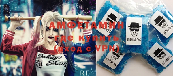 индика Володарск