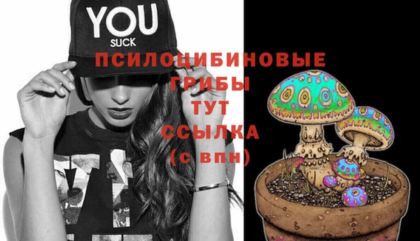 прущий лед Волосово