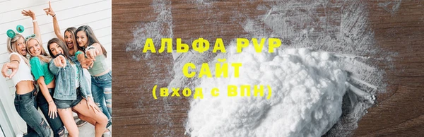 индика Володарск
