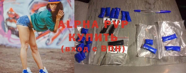 индика Володарск