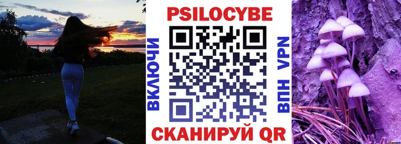 закладки  Онега  мориарти клад  Галлюциногенные грибы Cubensis 
