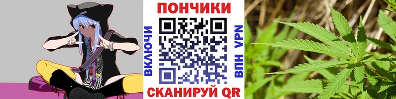Бошки марихуана Amnesia  Онега 